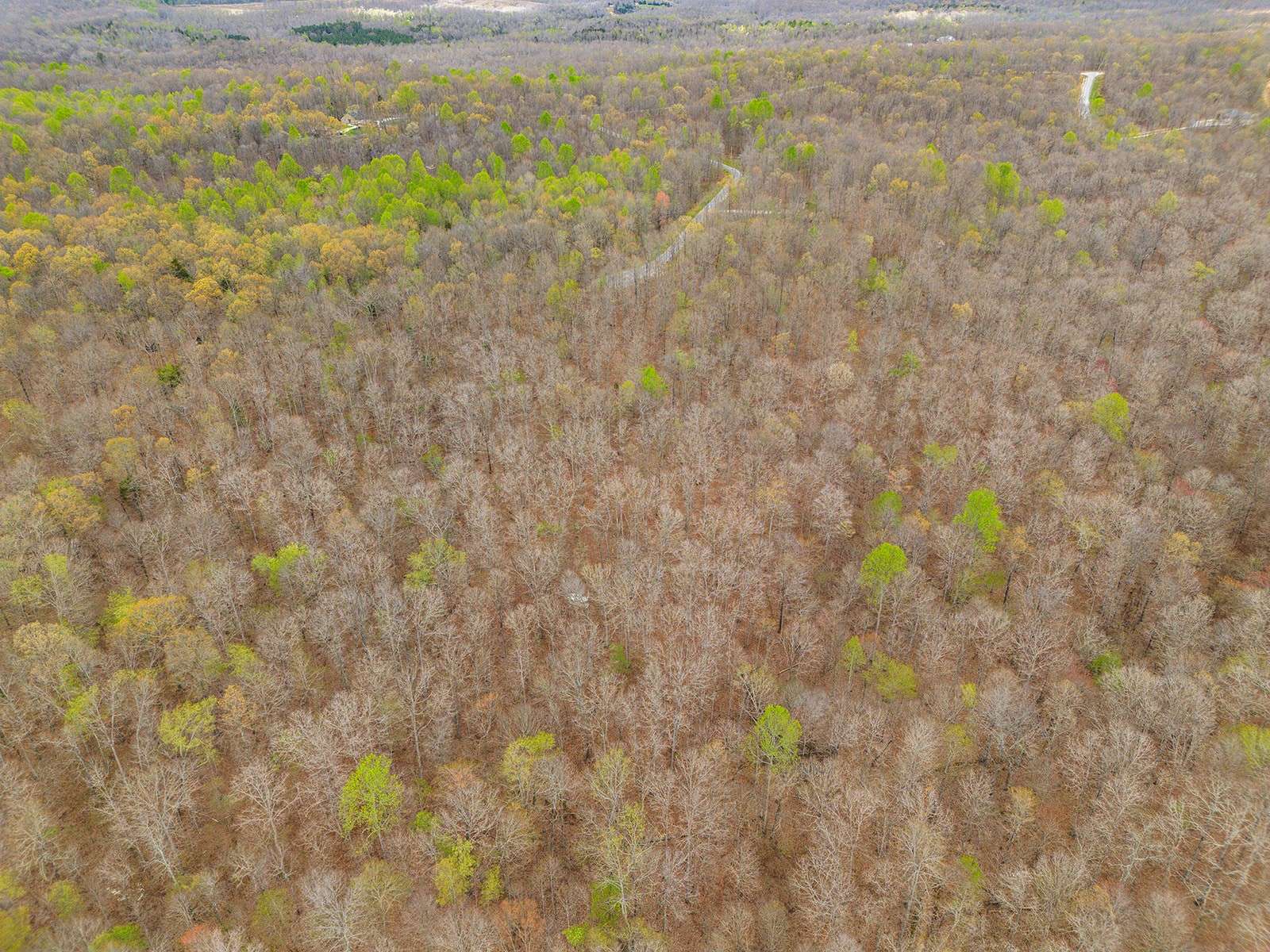 Mc Ewen, TN 37101,0 Grand View Ct