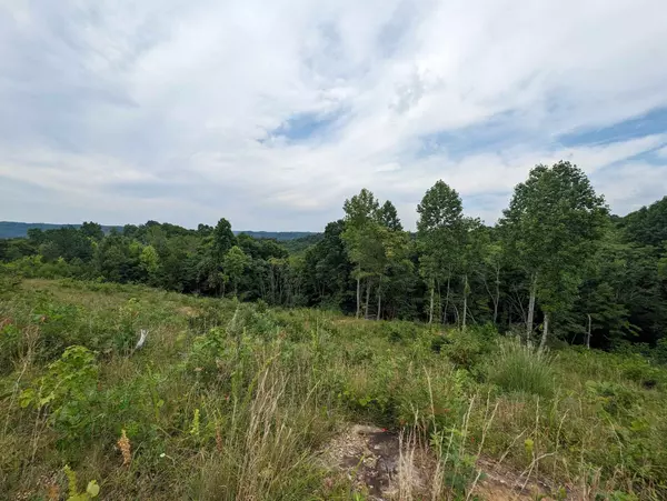 Byrdstown, TN 38549,0 Stoney Point Rd