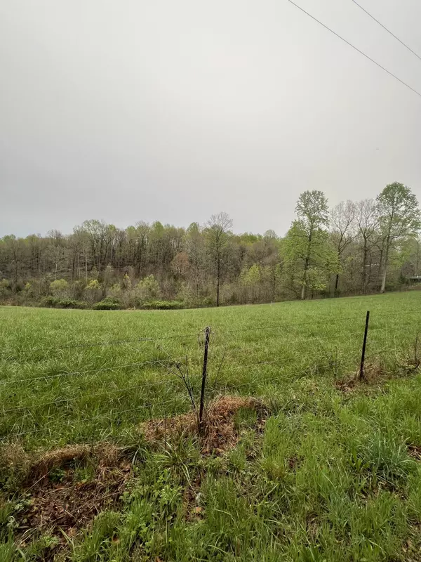 Bethpage, TN 37022,527 Hog Back Ridge Road