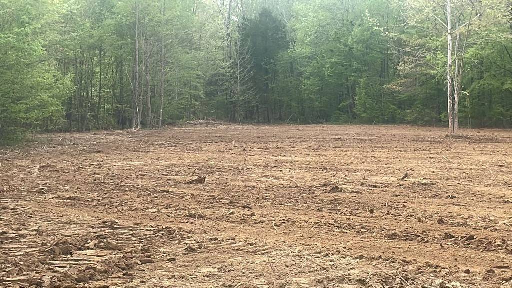 0 Birdsong Rd, Holladay, TN 38341