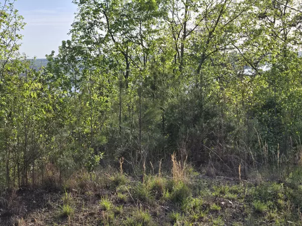 Waverly, TN 37185,75 Egret Ct