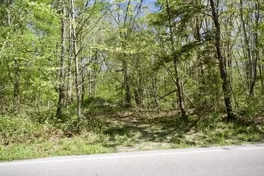 Dunlap, TN 37327,0 Whiteoak Swamps Road