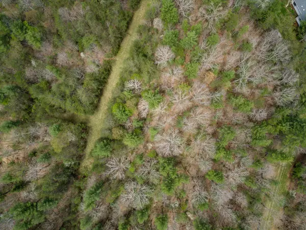 Crossville, TN 38558,17 Menteith Lane