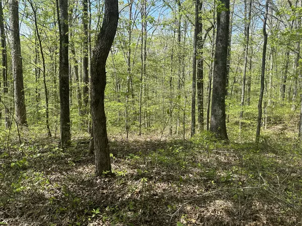 Ashland City, TN 37015,2 Primm Road