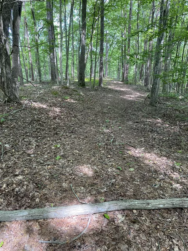 Smithville, TN 37166,0 Streamer Dr off Pine Orchard