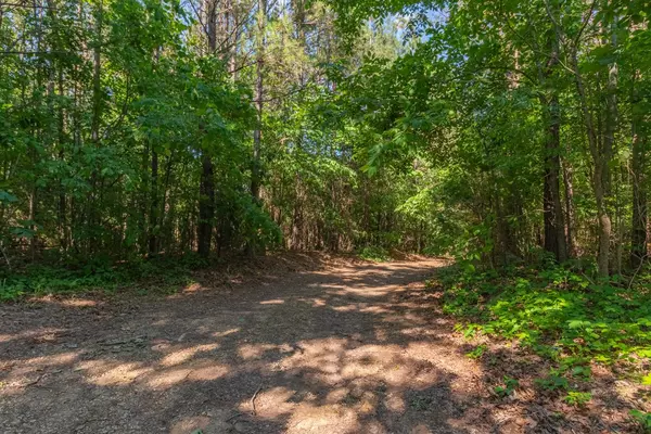 0 Chestnut Grove Cemetery Rd, Lawrenceburg, TN 38464