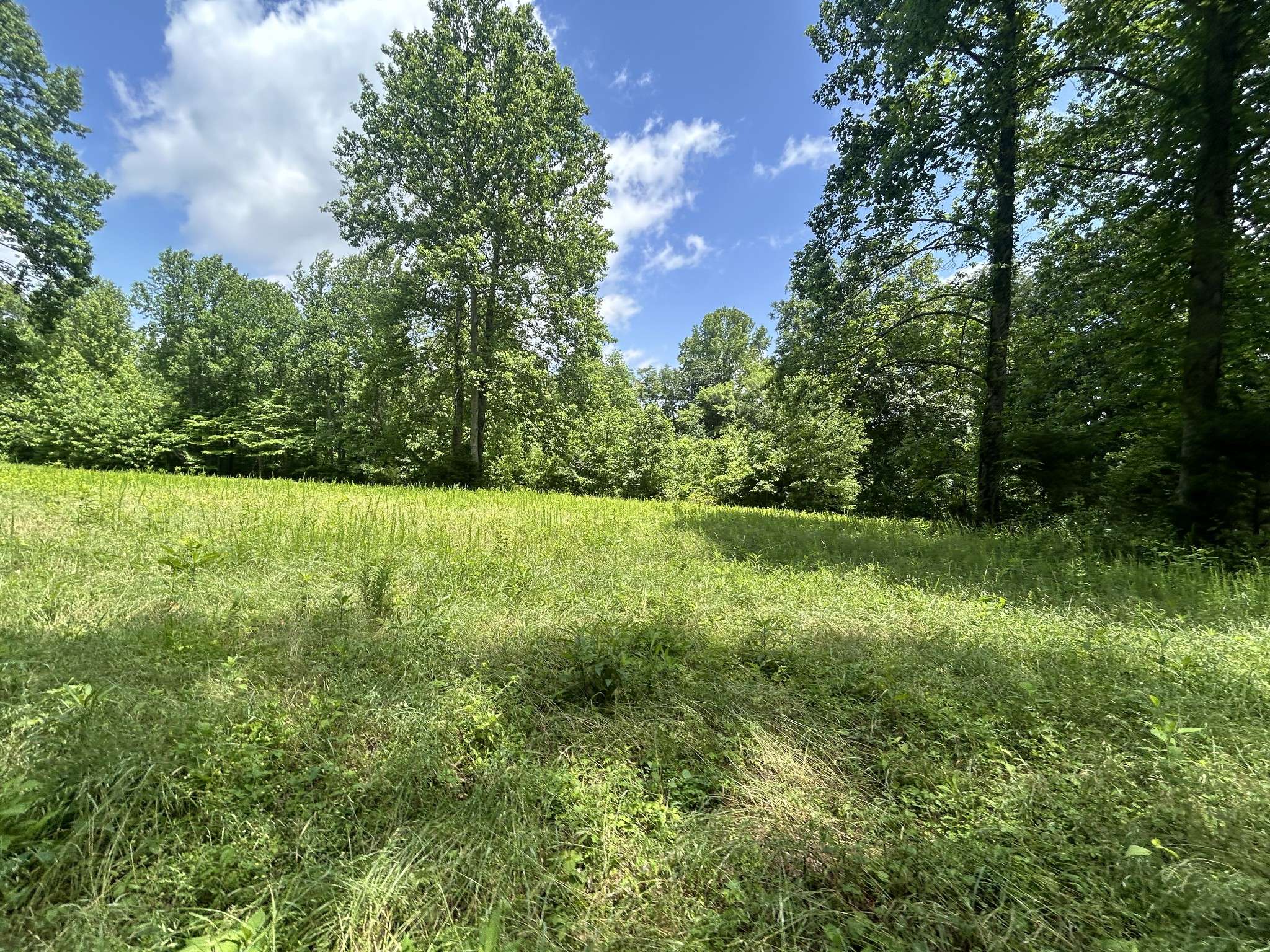 Mulberry, TN 37359,0 Dry Prong Rd
