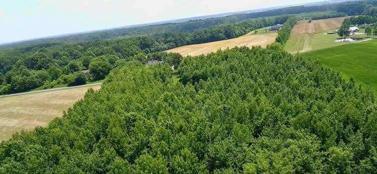 Springfield, TN 37172,4850 Hyde Rd