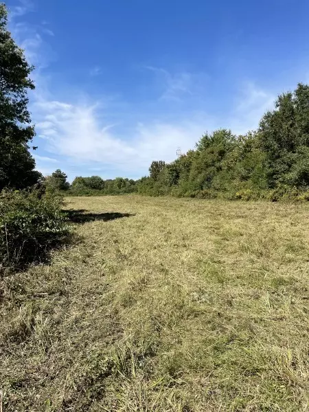 Hohenwald, TN 38462,0 Colonial Rd
