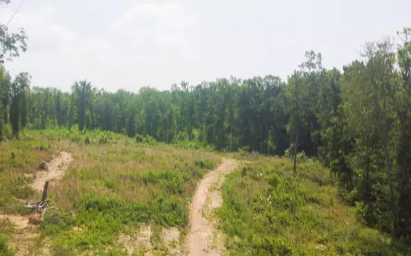 Tracy City, TN 37387,3798 Tennessee 56