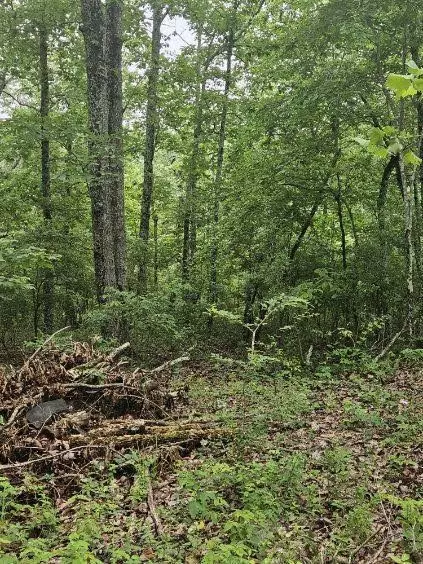 0 Dixie Ct, Holladay, TN 38341