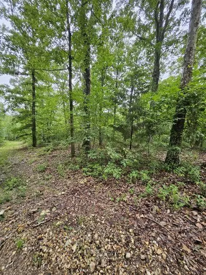 Holladay, TN 38341,0 Dixie Ct