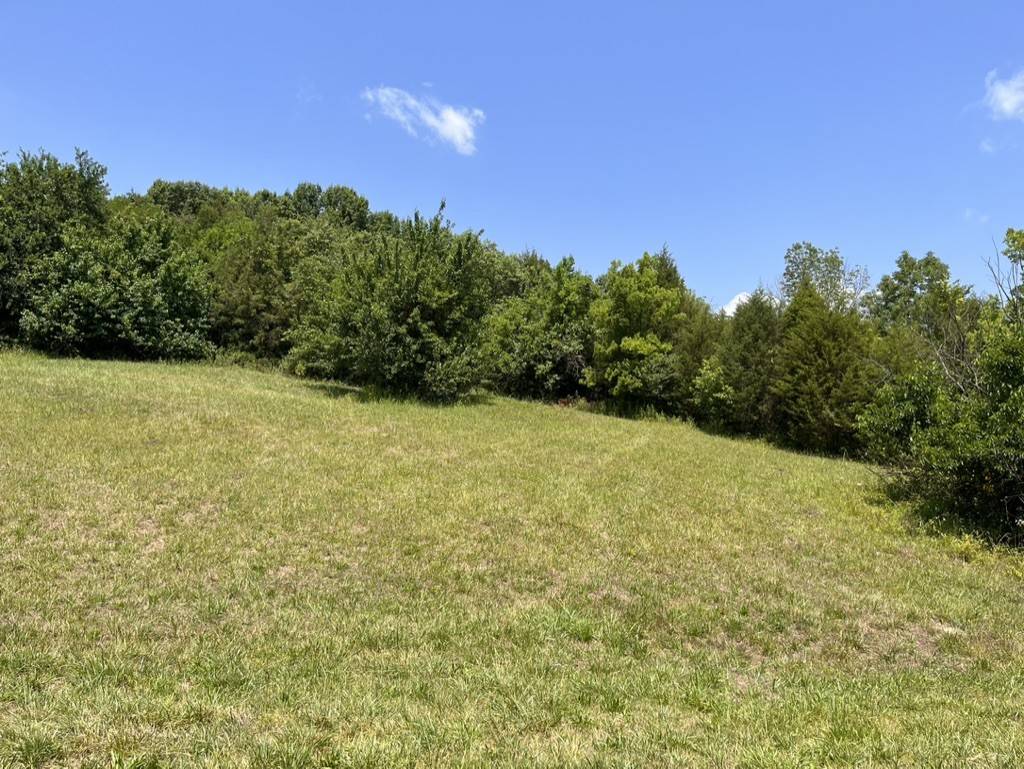 Mount Pleasant, TN 38474,3367 Booker Ridge Rd