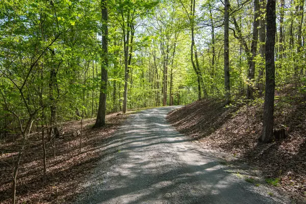 Pikeville, TN 37367,1036 Lee Station Mtn Road