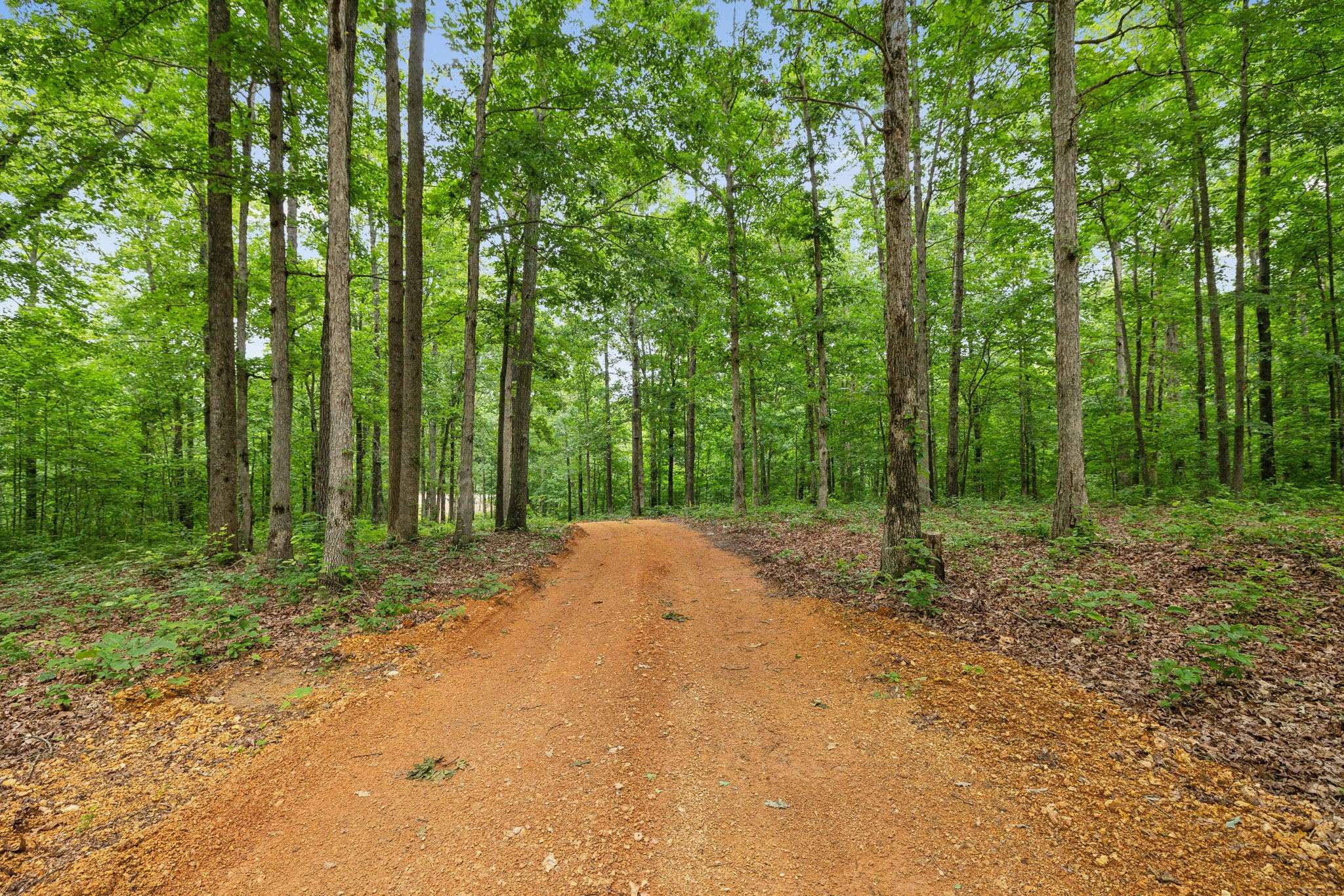 Santa Fe, TN 38482,6126 New Highway 7