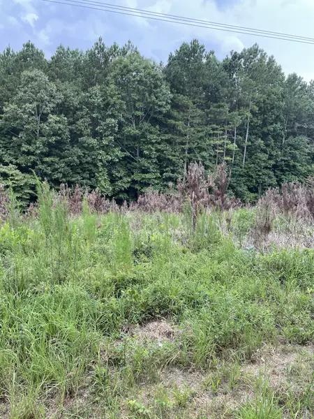 0 Ashmore Road, Summertown, TN 38483