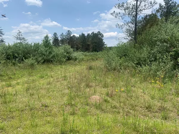 Spencer, TN 38585,0 Arrowhead Way