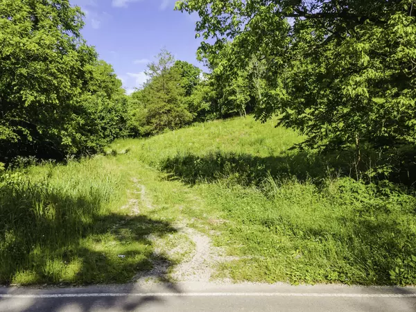 Lewisburg, TN 37091,2819 Yell Rd