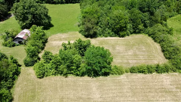 Hohenwald, TN 38462,0 Summertown Highway