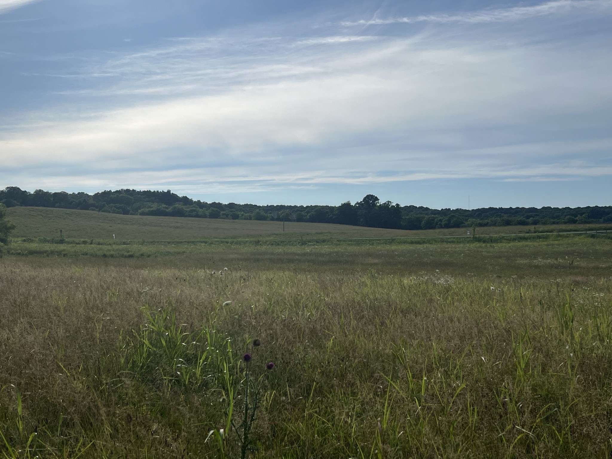 Wartrace, TN 37183,0 Haley Rd