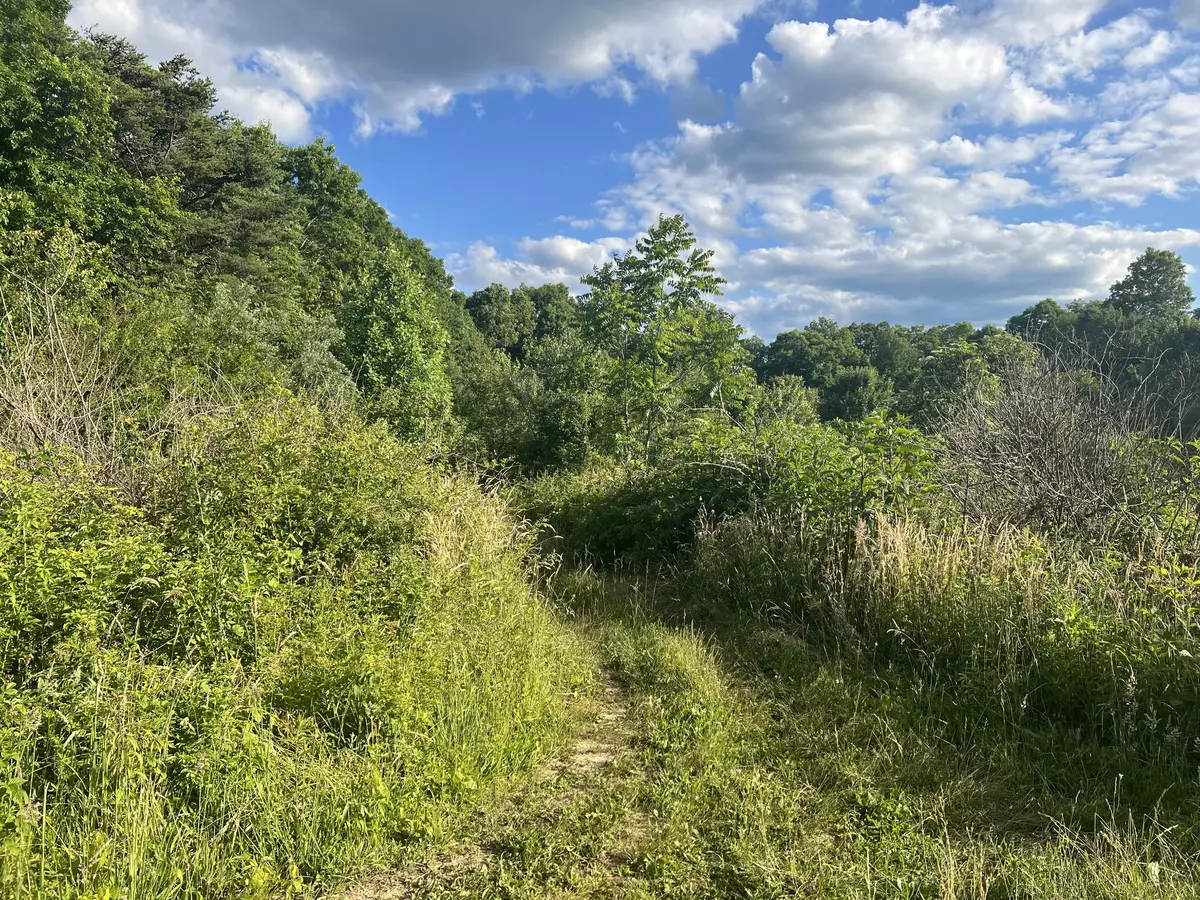 Coalmont, TN 37313,0 Lockhart Town Rd