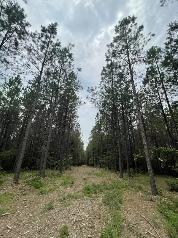 Hohenwald, TN 38462,162 Pinewood Dr