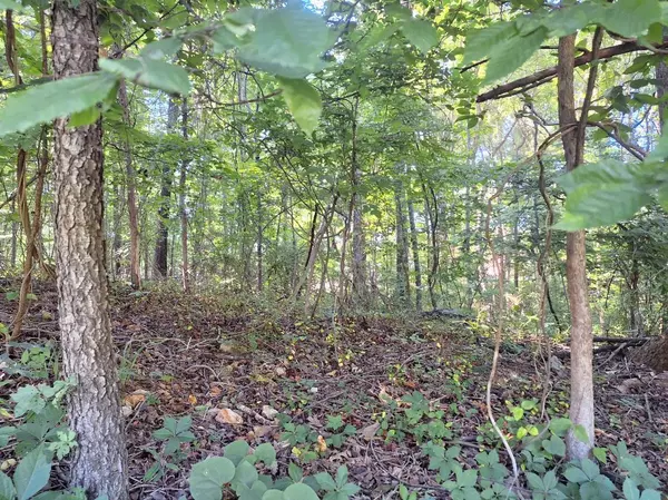 Lawrenceburg, TN 38464,0 Devin Dr