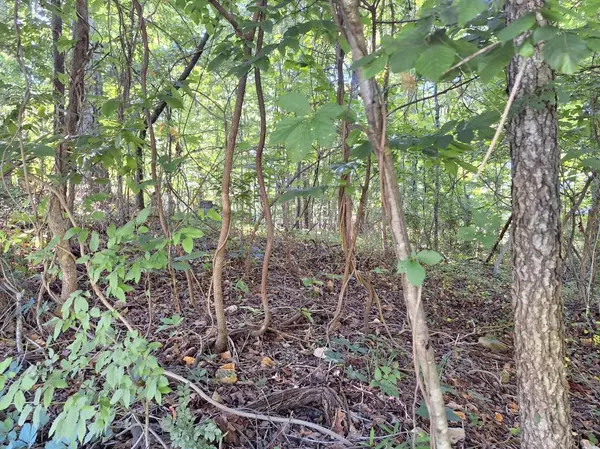 Lawrenceburg, TN 38464,0 Devin Dr