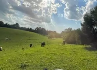 Brush Creek, TN 38547,20 Fowler Ln #S