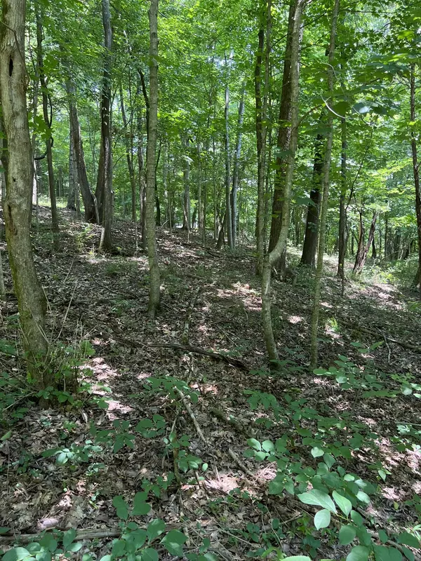 Whites Creek, TN 37189,0 Ingram Road