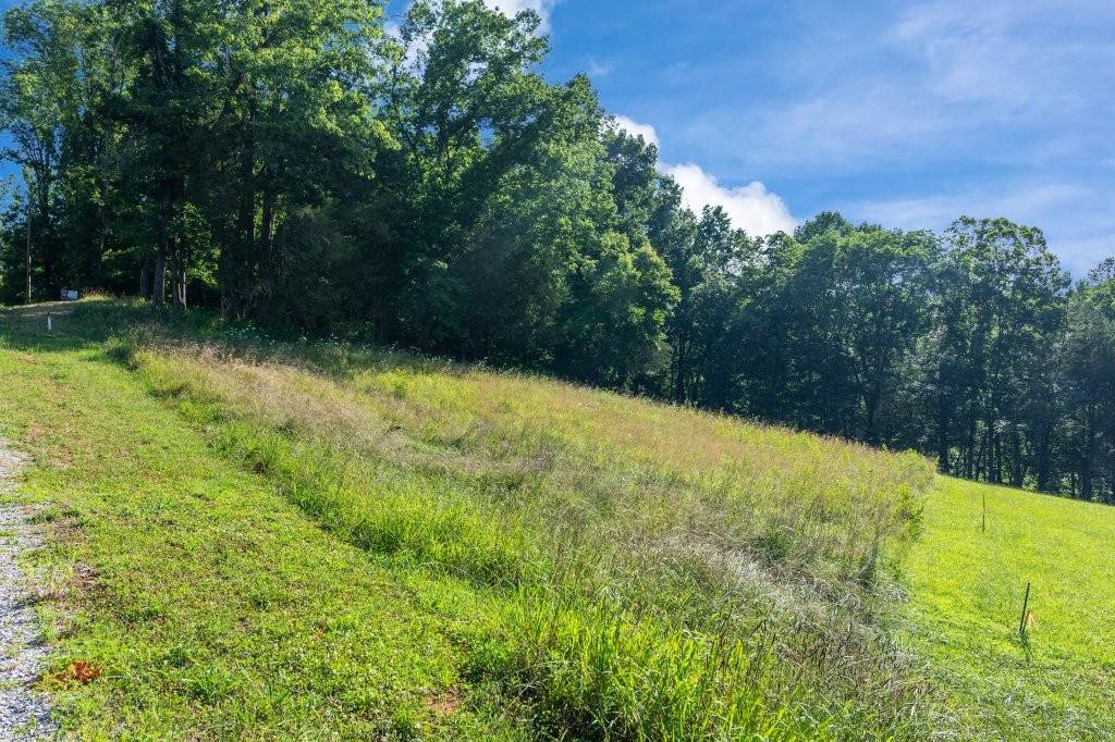 Rock Island, TN 38581,0 Hidden River Rd
