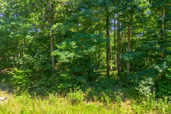 Santa Fe, TN 38482,0 Chestnut Ridge Rd