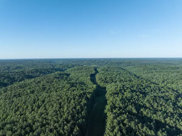 0 Slippery Road, Hohenwald, TN 38462