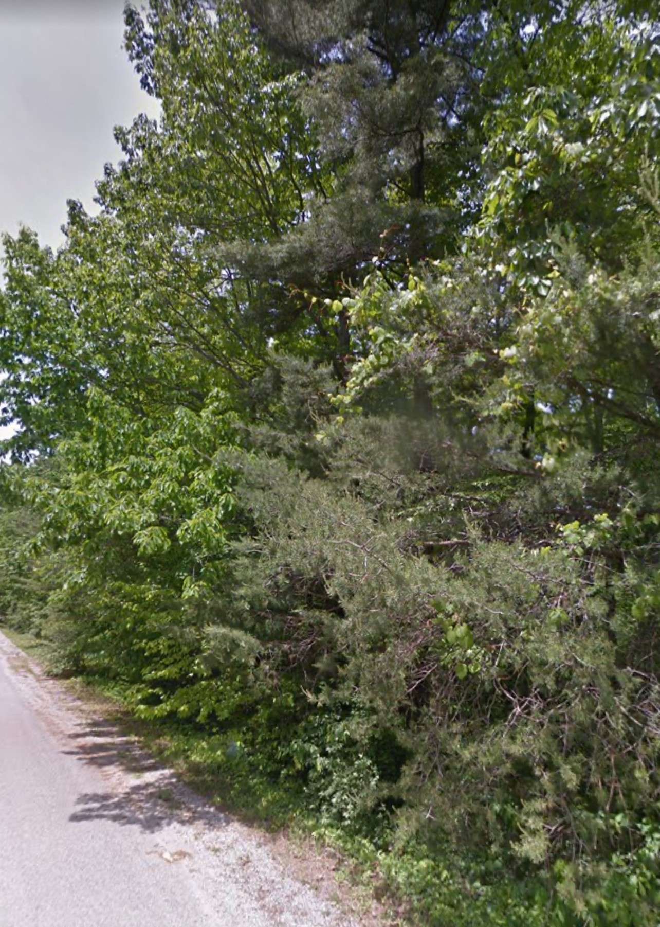 Crossville, TN 38558,16 King Arthur Ct