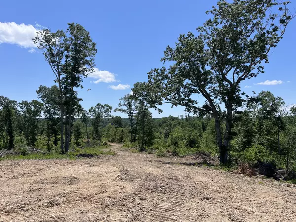 Waverly, TN 37185,0 Trace Creek Rd #W