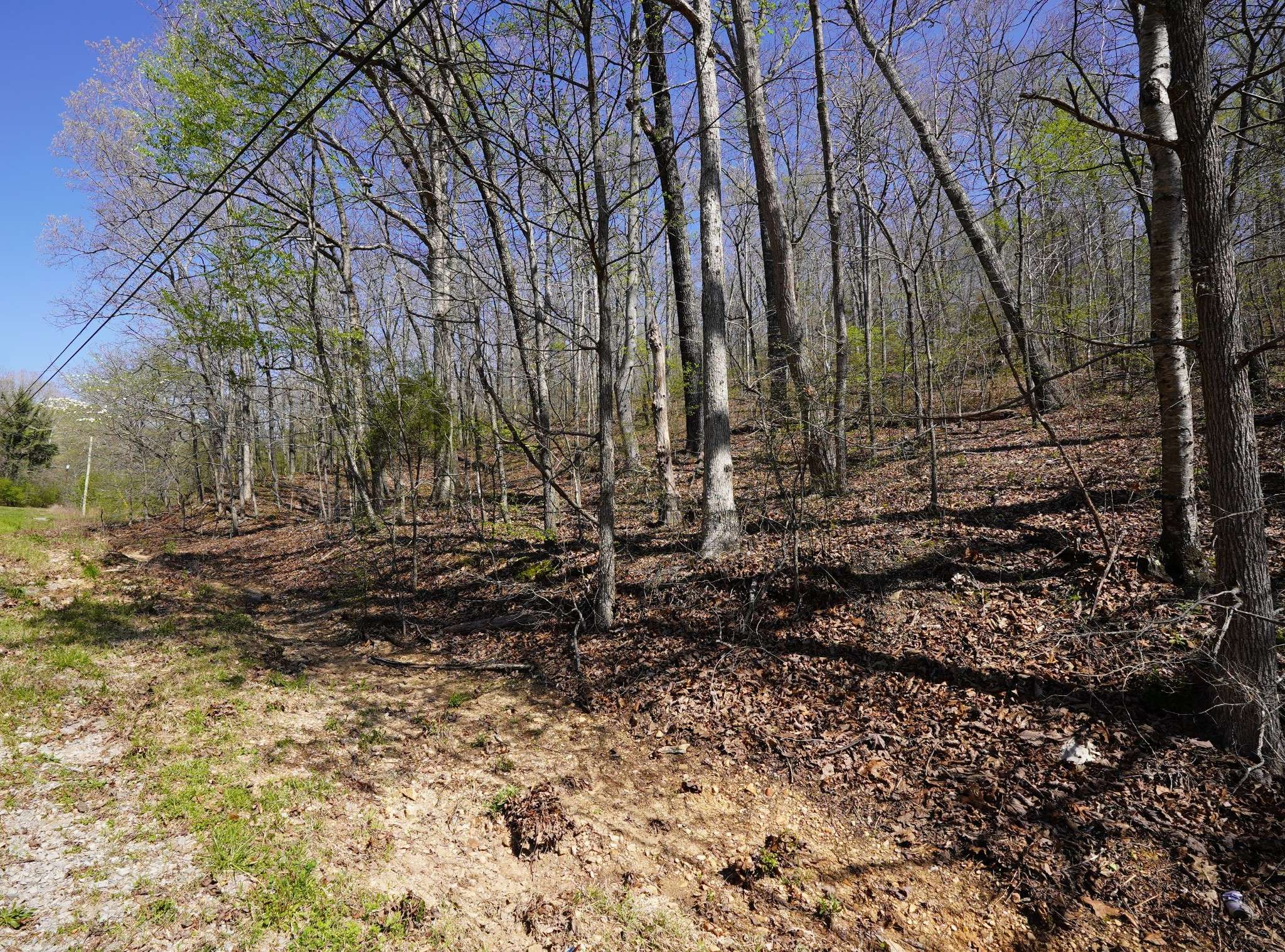Dover, TN 37058,0 Bill Brake Road