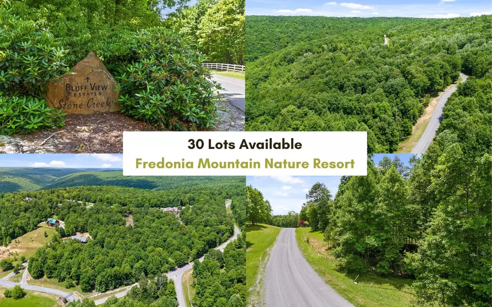 0 Fredonia Mountain, Dunlap, TN 37327