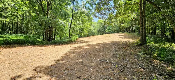 Pulaski, TN 38478,394 Young Hollow Rd