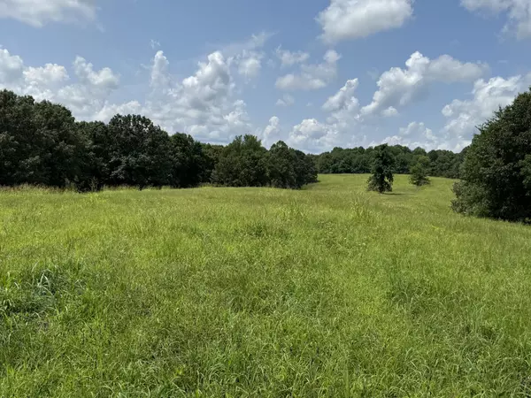 Woodlawn, TN 37191,115 Floyd Circle