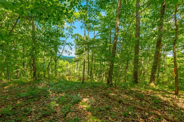 Ringgold, GA 30736,0 Clearview Drive