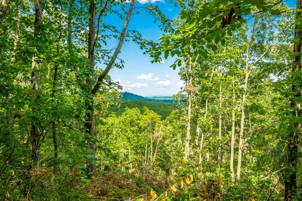 Ringgold, GA 30736,0 Clearview Drive