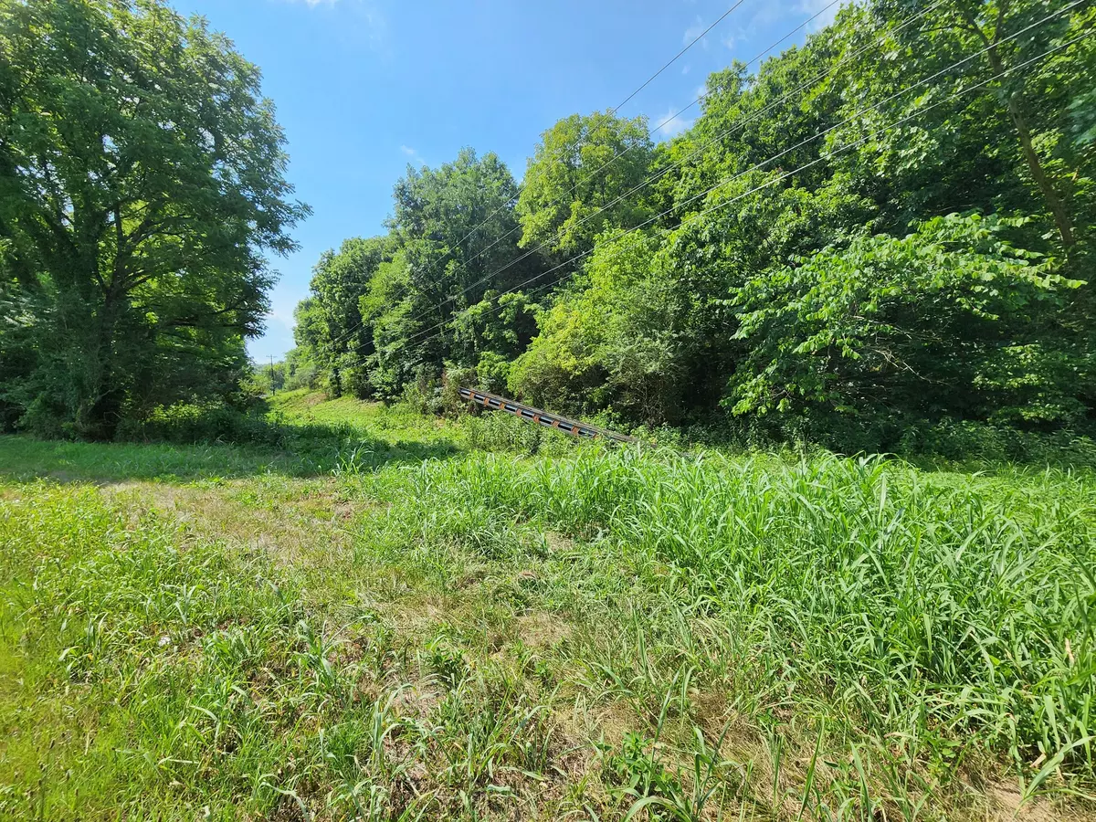 Gainesboro, TN 38562,78 ac Baugh Hollow Rd