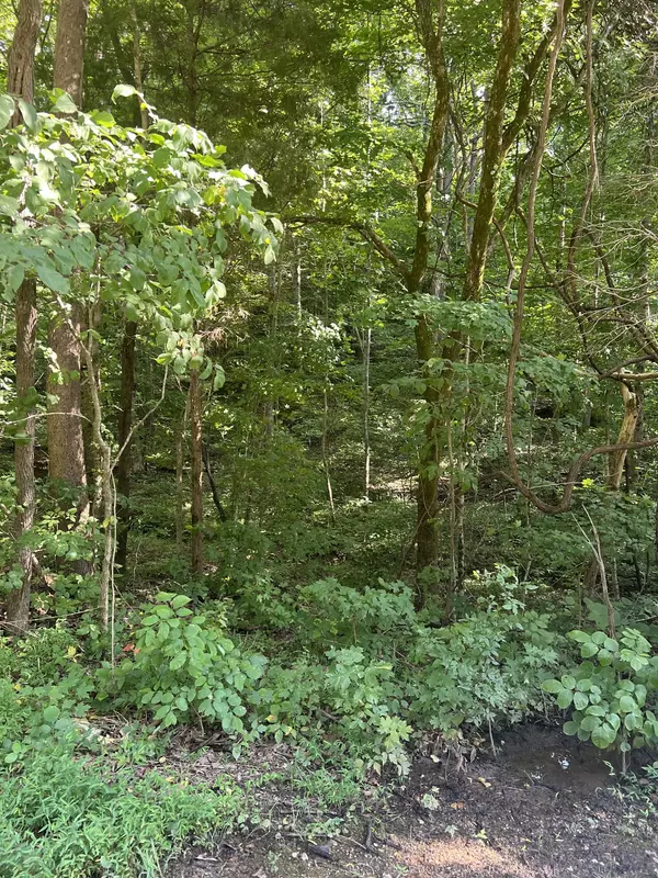 Cumberland Furnace, TN 37051,0 Hollis Crossing Rd