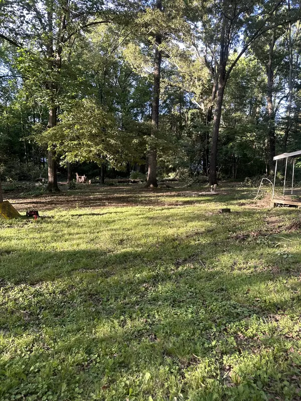 Camden, TN 38320,1581/2 Westview St