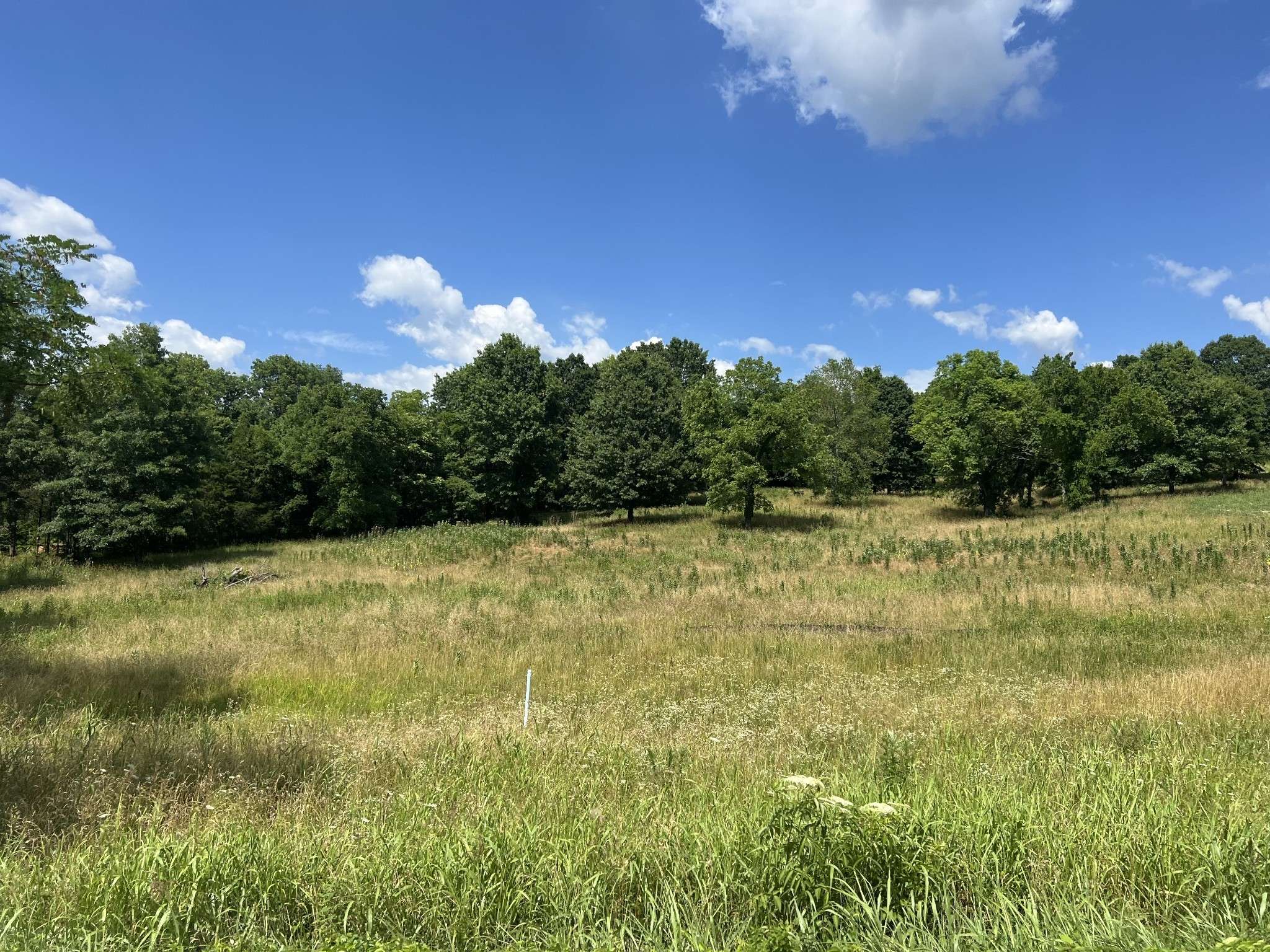 College Grove, TN 37046,6456 Arno College Grove Rd