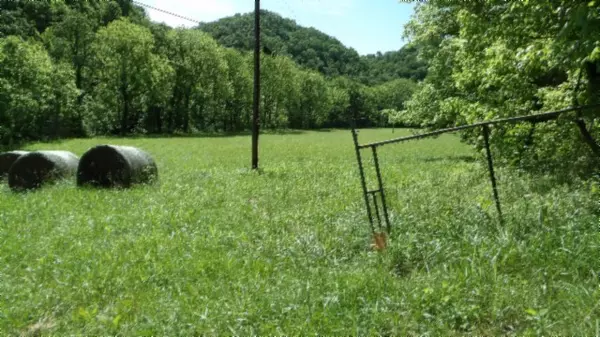 Moss, TN 38575,5155 Brimstone Creek Rd