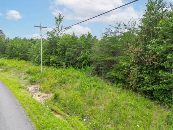 Bryant, AL 35958,1 County Road 131