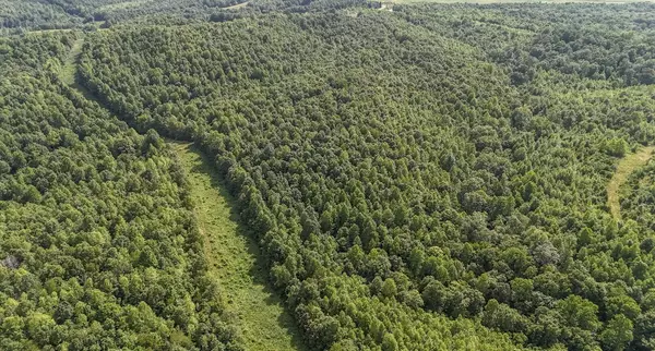 Waynesboro, TN 38485,0 Ashland Rd