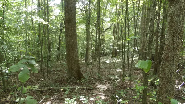 Moss, TN 38575,0 Denton Rd