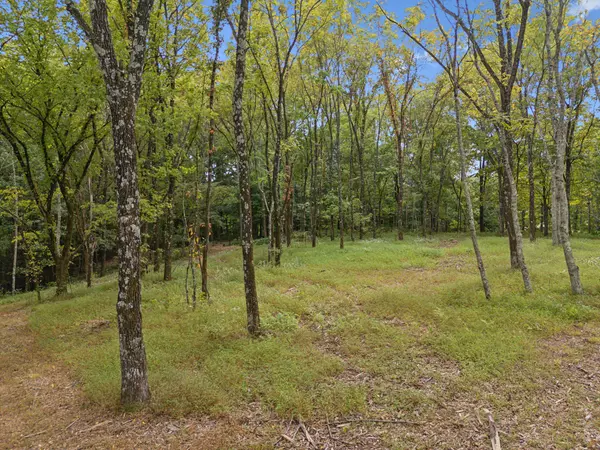 Primm Springs, TN 38476,0 Old Natchez Trce